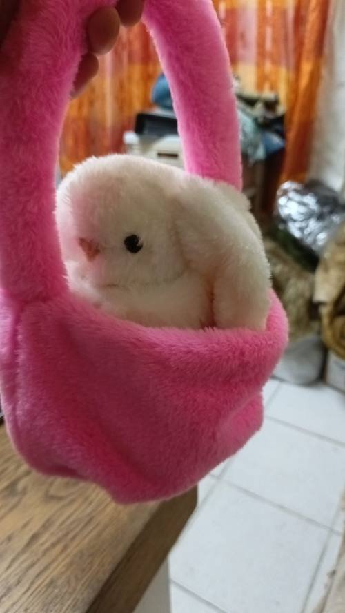 Askılı Çantada Tavşan Peluş